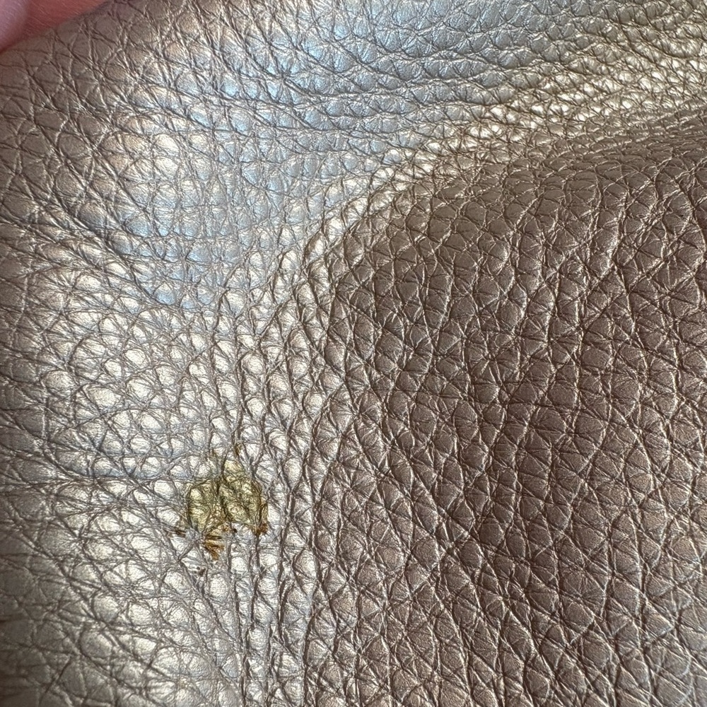 Coach Gold Shoulder Madison Phoebe Shoulder Bag - Picture 11 of 11